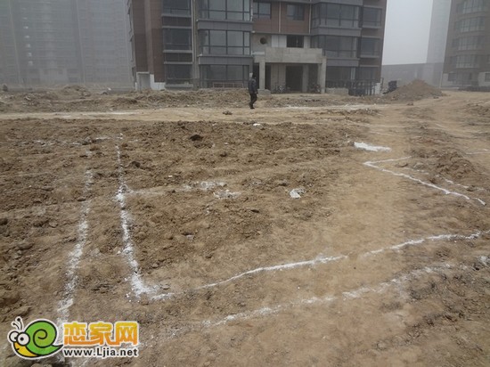 地面上的白線為綠化的造型位置和道路的位置