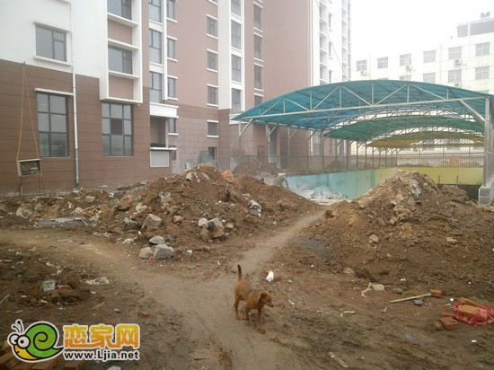 萬(wàn)瑞佳苑項(xiàng)目工地實(shí)景圖（2013.2.26）