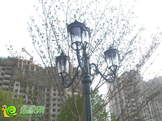 御景江山城園林路燈（2013.5.21）