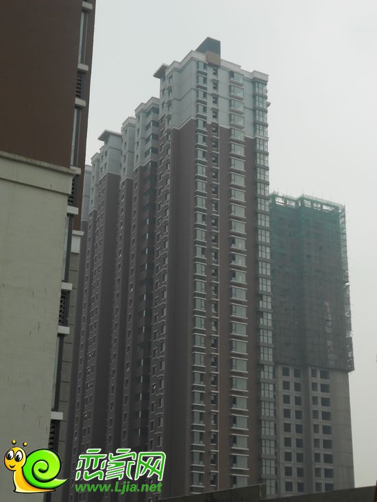 中央公園實(shí)景圖