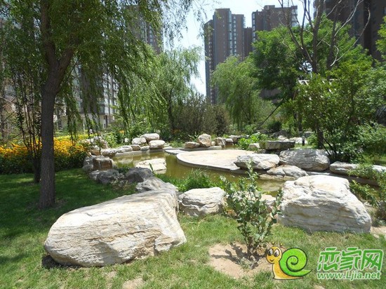 華信山水文苑園林實景