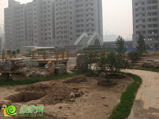左岸楓橋項(xiàng)目園林實(shí)景圖（2013.10.1）