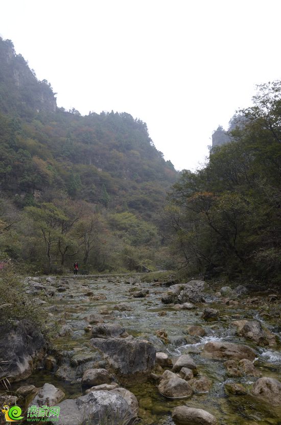 青山綠水回歸自然