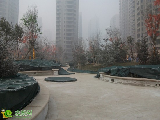 月亮灣小區(qū)園林實景圖（2014.1.24）