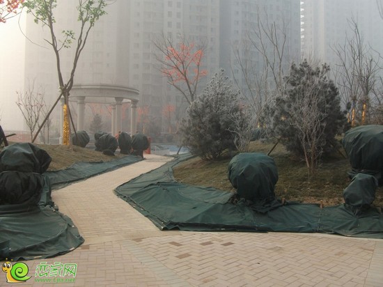 月亮灣小區(qū)園林實景圖（2014.1.24）