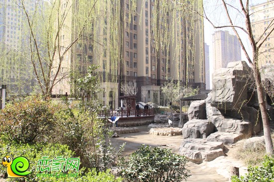阿爾卡迪亞碧水灣實景圖