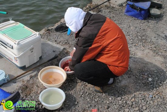 調(diào)制魚食