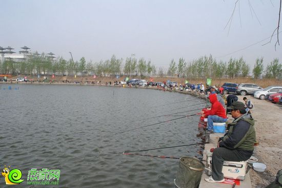 釣魚比賽現(xiàn)場