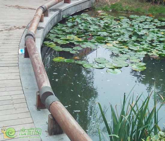 美的城實(shí)景