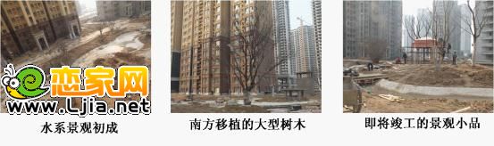 阿卡小區(qū)院內(nèi)