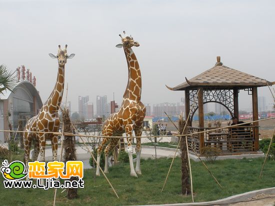 萬聚凱旋城項(xiàng)目部 （2012.4.15）