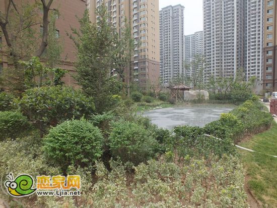 阿爾卡迪亞實景