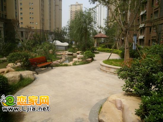 阿爾卡迪亞一期實拍