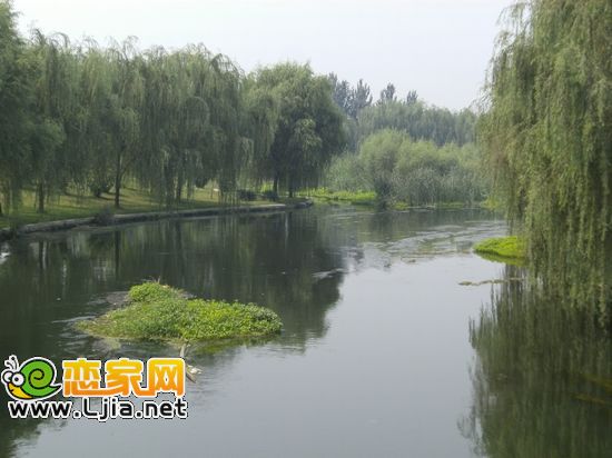 滏陽河美景