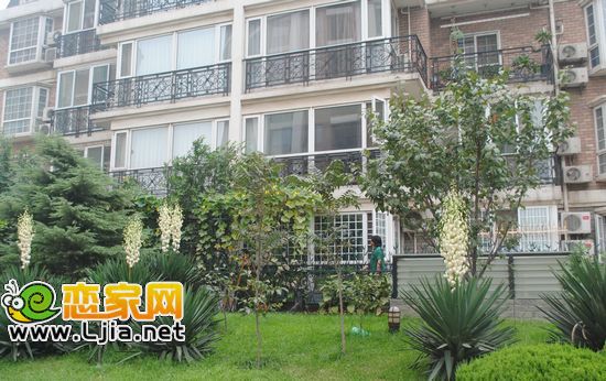 拉德芳斯帶入戶花園的業(yè)主在澆花