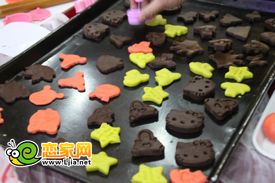 趙都華府活動中做的形狀各異的餅干