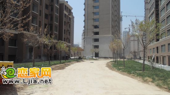 楓丹白露小區(qū)內(nèi)正在做綠化