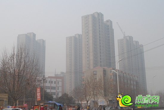 阿爾卡迪亞三期陽光苑實(shí)景圖