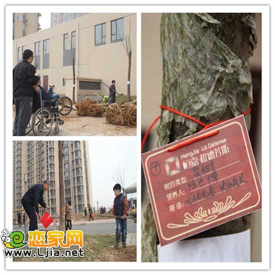 一家人攜手種下屬于自己的“親情樹”掛上自己親手寫下的樹牌