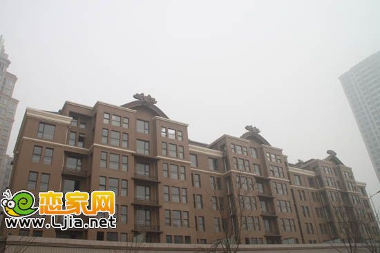 楓丹白露工地現(xiàn)場(chǎng)