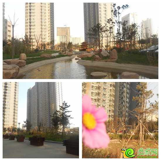 鴻基花苑園林景觀實景