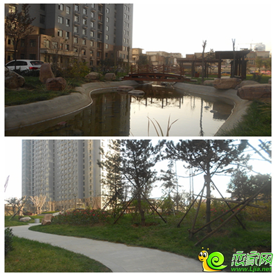 鴻基花苑園林景觀實景