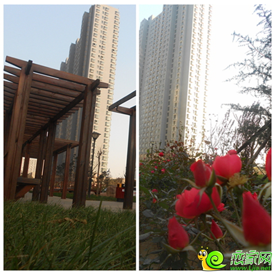 鴻基花苑園林景觀實景
