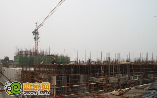 萬浩儷城背院工程進度