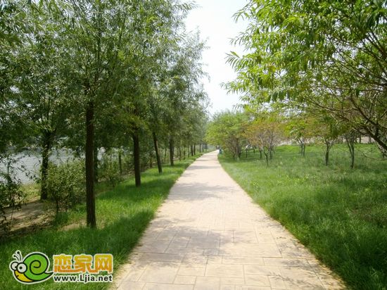 北湖公園內(nèi)的綠蔭幽徑
