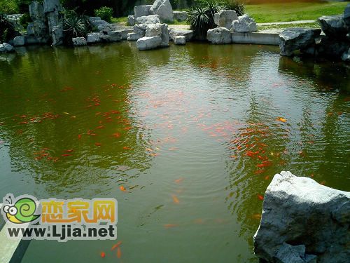 叢臺(tái)公園