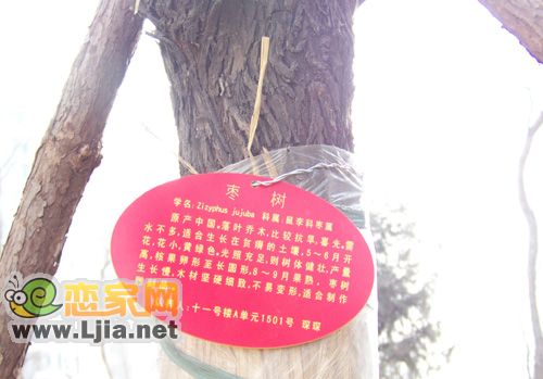 樹木的掛牌