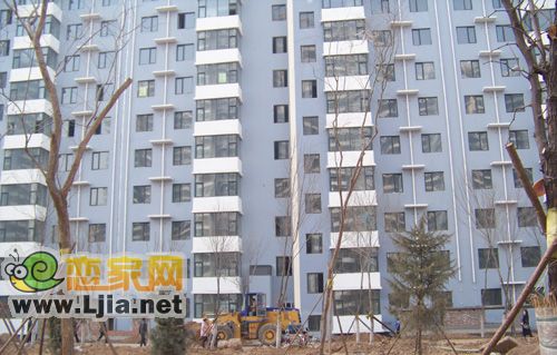 工人正在加緊做綠化工作