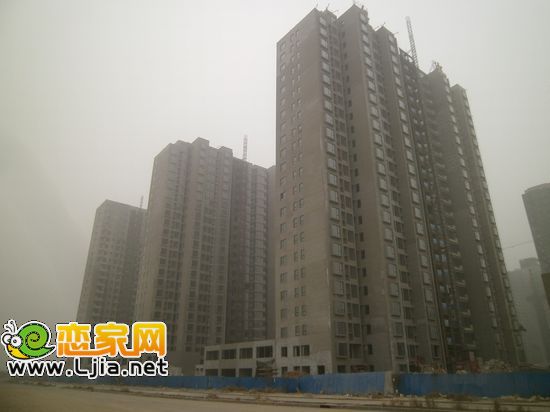 左岸楓橋工程進(jìn)度圖