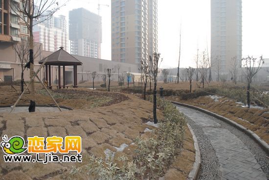 金世紀(jì)新城小區(qū)實(shí)景