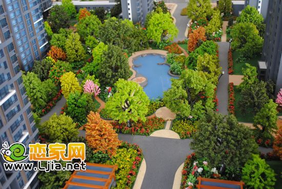 金百合園林景觀效果圖