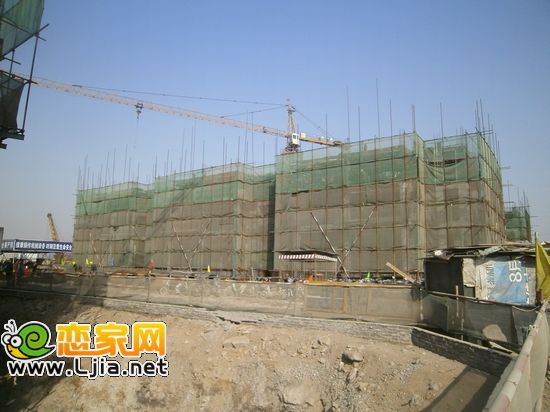 趙都華府10#樓工地實景
