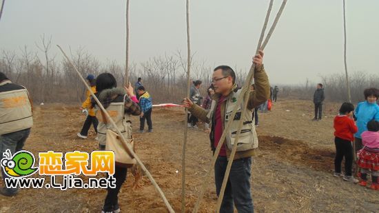準(zhǔn)備樹苗