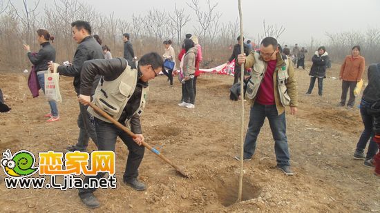 植樹現(xiàn)場(chǎng)