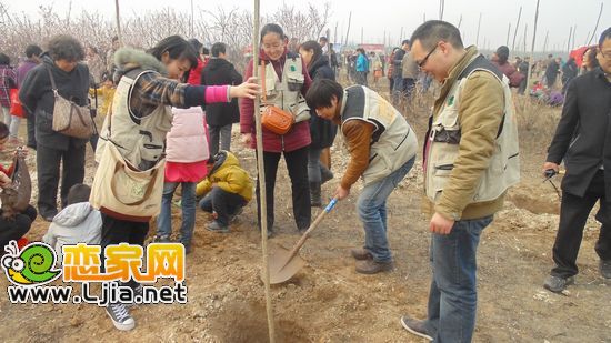植樹現(xiàn)場(chǎng)