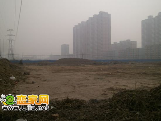 金百合工地實景