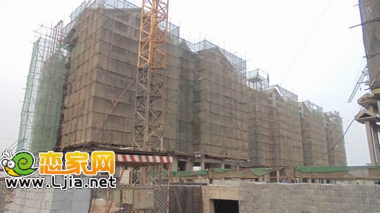 趙都華府8、9#樓工地實(shí)景