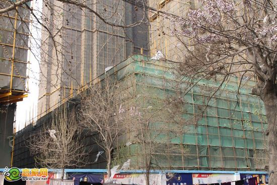陽(yáng)光天階商業(yè)樓實(shí)景