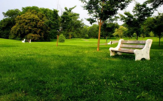 公園世家資料圖