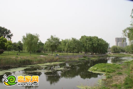 滏陽公園實(shí)景
