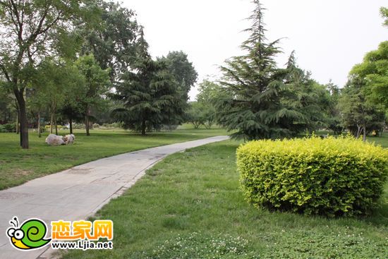 滏陽公園實(shí)景