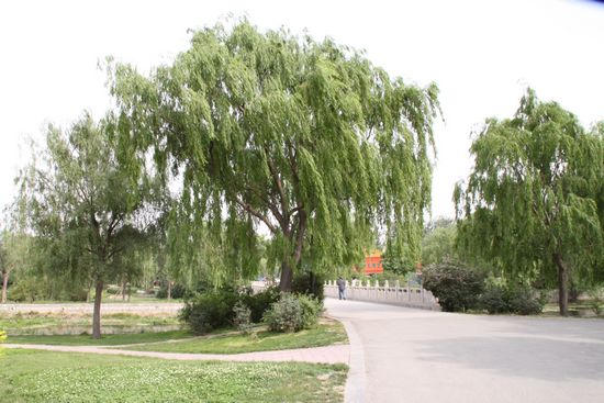 滏陽公園實(shí)景