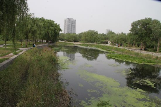 滏陽公園實景