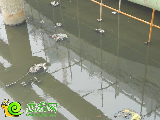 沁河實(shí)景