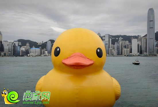 大黃鴨巡游香港維多利亞港圖