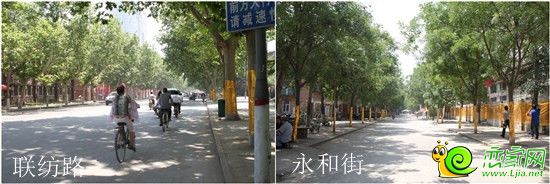 聯(lián)紡路、永和街實景